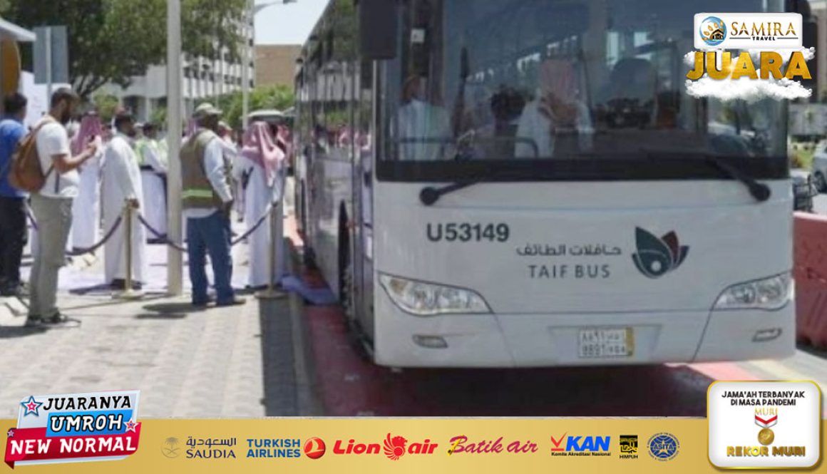 Beroperasi 18 Jam Sehari, Saudi Resmikan Layanan Transportasi Bus Umum di Taif